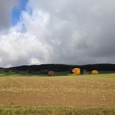 In For 4 Personen Tatil Evi Tännesberg