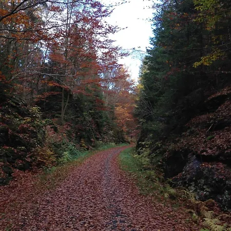 Cozy Pet Friendly In T Nnesberg *